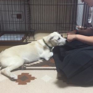 へへ〜ん、チョロいもんだぜ